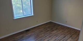 Hollybend Gallery 11