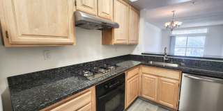 Beautiful Brisbane condo Gallery 10