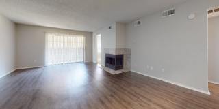 Hilton Head Gallery 26