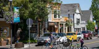 The Zimmer Gallery 36