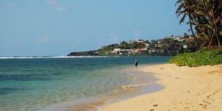 Historic Home+guest cottage in Kahala near the Beach w/Pool & AC: Ho'okipa Villa Gallery 33