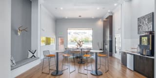 Lowry Park Gallery 22