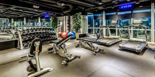 9 on Canal Gallery 4