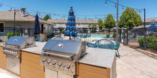 Avana Evergreen Gallery 34