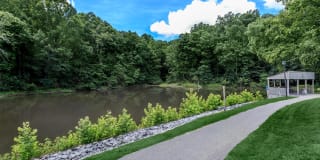 Walden Pond Gallery 13