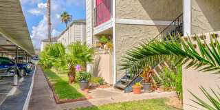 Pelicans Landing Gallery 26