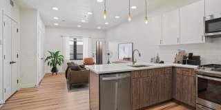 The Charli The Charli Gallery 16