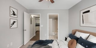 Palm Trace Landings Gallery 60