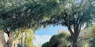 8717 North Johnny Miller Drive Gallery 36