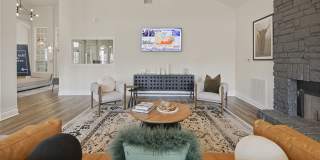 Willow Lake Gallery 10