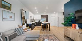 Vine at Panorama Gallery 2