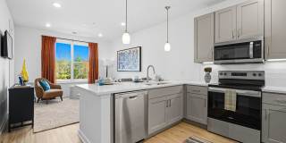 The Galaxy at Polaris Gallery 101