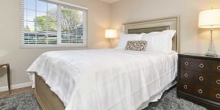 Camden Village Gallery 5