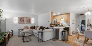 Honey Lane Gallery 3