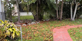 6613 Evergreen Dr Gallery 23