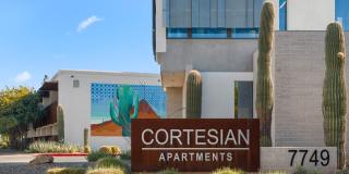 The Cortesian Gallery 1