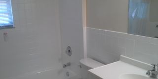 Steuben Arms Gallery 7