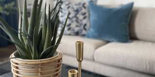 The Cannon Gallery 5