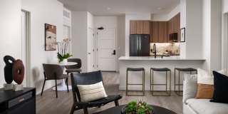 The Lafayette Gallery 51