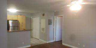4096 N Pine Island Road Gallery 4