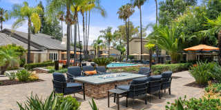 Park Pointe Gallery 30
