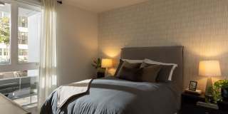 Avelle Gallery 50