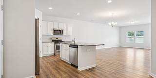 Poplin Trace Gallery 37