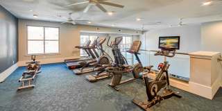 Belle Spring Branch Gallery 15