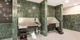 Alta Goodyear Gallery 29