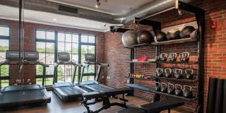 The Mason Gallery 12