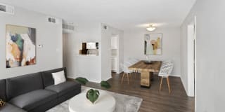 Hilton Head Gallery 7