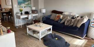 341 EMMETT Street Gallery 1