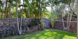 Tropical oasis Gallery 11
