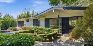 4bd/3.5ba Medina Home Gallery 1