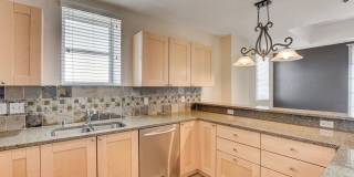 Boca Raton Gallery 7