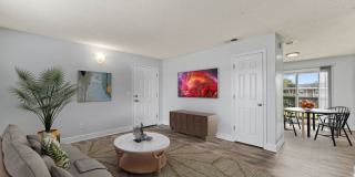 Sea Oats Sea Oats Gallery 103