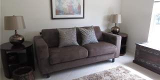 10537 Washingtonia Palm Way Gallery 16