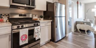 Waterfront at the Marina Gallery 21