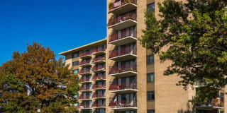 Cavalier Club Gallery 15