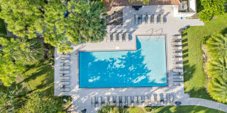 Sherwood on the Park Gallery 37