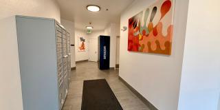 Varsity I Apartments Varsity I Apartments Gallery 9