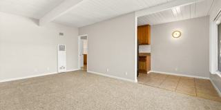 Coliseum Gallery 14