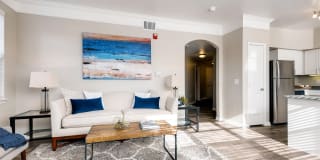 Lowry Park Gallery 6