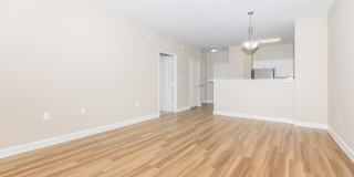 The Rothbury Gallery 37