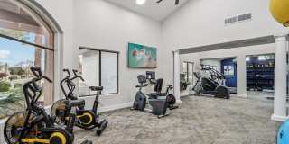 Vetra Chandler Gallery 18