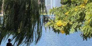 1072 Laguna Avenue Gallery 1