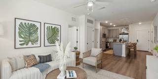 Olea eTown Gallery 8