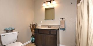 ONE STORY HOME  |  3 BEDS & 2 BATHS  |  LARGE SHED Gallery 11