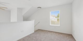 The Estates Gallery 12