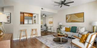 734 Northrup St Apt 225 734 Northrup St Apt 225 Gallery 1